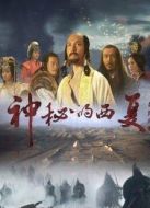 神秘的西夏劇情介紹(1-10全集)