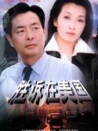 勝訴在美國劇情介紹(1-20全集)