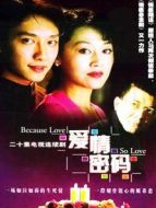 愛情密碼劇情介紹(1-20全集)