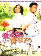 愛在左情在右劇情介紹(1-20全集)