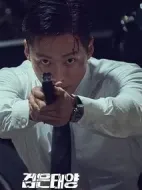 黑色太陽劇情介紹(1-12全集)