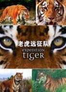 BBC：老虎遠(yuǎn)征隊劇情介紹(1-3全集)