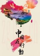 中國(guó)在行動(dòng)劇情介紹(1-5全集)