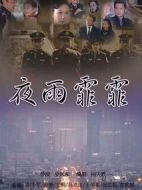夜雨霏霏劇情介紹(1-21全集)