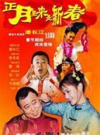 正月里來(lái)是新春劇情介紹(1-18全集)