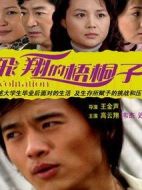 飛翔的梧桐子海報