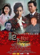 神秘女諜海報(bào)