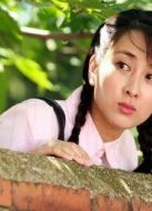 女人如花海報