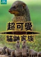 BBC：暴徒貓鼬兄弟劇情介紹(1-4全集)