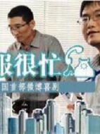 客服很忙劇情介紹(1-20全集)
