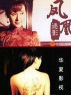 鳳凰迷影劇情介紹(1-24全集)