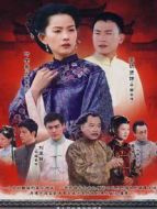 辛家媳婦劇情介紹(1-24全集)