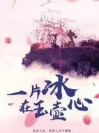 一片冰心在玉壺劇情介紹(1-24全集)
