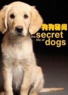 BBC：狗狗秘聞劇情介紹(1-1全集)