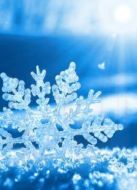 下雪吧！劇情介紹(1-1全集)