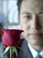 loistest[內(nèi)地剪輯版]劇情介紹(1-1全集)