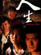 人生劇情介紹(1-30全集)