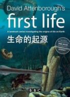 BBC：生命的起源劇情介紹(1-3全集)