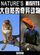 BBC：大自然的奇異動物劇情介紹(1-1全集)