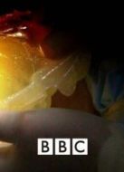 BBC：十大致命生物第二季劇情介紹(1-5全集)