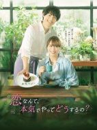 戀愛何必認(rèn)真？劇情介紹(1-0全集)