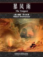 暴風雨劇情介紹(1-10全集)