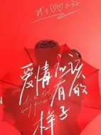愛情應(yīng)該有的樣子劇情介紹(1-30全集)