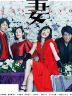 后妻業(yè)劇情介紹(1-9全集)