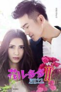 花兒多多之前世今生劇情介紹(1-12全集)