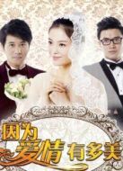 因?yàn)閻?ài)情有多美（未刪減版）劇情介紹(1-80全集)