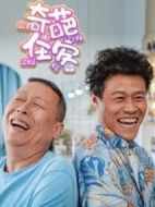 奇葩住客劇情介紹(1-8全集)