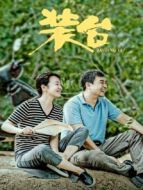 裝臺(tái)劇情介紹(1-33全集)