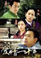 愛情二十年劇情介紹(1-23全集)