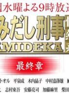 はみだし刑事情熱系最終章海報