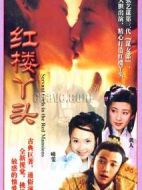 紅樓丫頭劇情介紹(1-21全集)