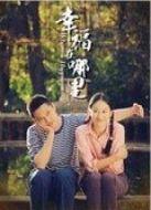 幸福在哪里（王雷版）劇情介紹(1-36全集)