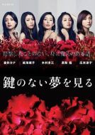 沒有鑰匙的夢(mèng)劇情介紹(1-5全集)