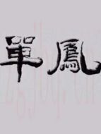 單鳳劇情介紹(1-20全集)