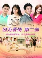 因?yàn)閻矍橛衅孥E（未刪減版）劇情介紹(1-82全集)