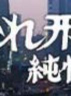 刑事純情派17劇情介紹(1-12全集)