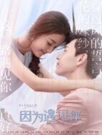 因為遇見你[DVD版][未刪減版]劇情介紹(1-56全集)