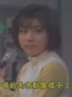 真情姐妹花劇情介紹(1-9全集)