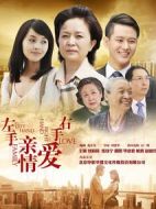 左手親情右手愛(ài)劇情介紹(1-35全集)