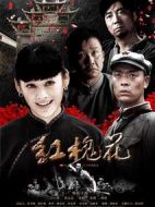 紅槐花劇情介紹(1-38全集)
