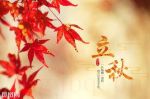 立秋劇情介紹(1-44全集)