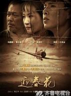 迎春花劇情介紹(1-20全集)