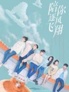 陪你逐風(fēng)飛翔[DVD版]劇情介紹(1-33全集)