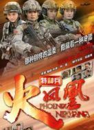 我是特種兵之火鳳凰（精簡(jiǎn)版）劇情介紹(1-52全集)