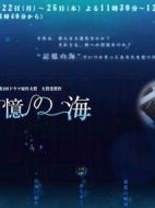 記憶之海劇情介紹(1-4全集)