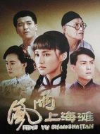 風雨上海灘劇情介紹(1-30全集)